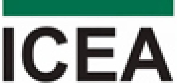 Il nuovo sito ICEA è on line